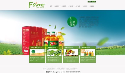 探索网页设计 从基础到前沿